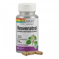 Resveratrol I vegan I laboratorně testován
