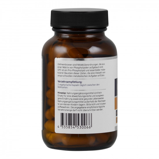 GPC GlyceroPhosphoCholin 300 mg