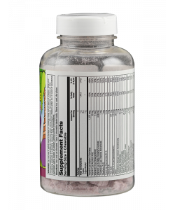 Dinosaur MultiSaurus