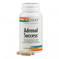 Adrenal Success ™